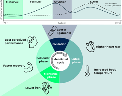 Optimizing Performance Across the Menstrual Cycle with Johan Sports
