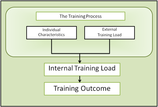 Training process