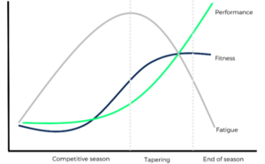 Tapering_Blog_Peak_Performance_JOHAN_Sports_Fg1-300x186