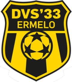 DVS_'33_logo 